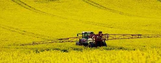 Landwirtschaft