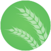 Landwirtschaft