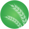 Landwirtschaft